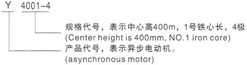 西安泰富西玛Y系列(H355-1000)高压YE2-315L2-8三相异步电机型号说明