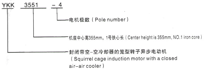 YKK系列(H355-1000)高压YE2-315L2-8三相异步电机西安泰富西玛电机型号说明